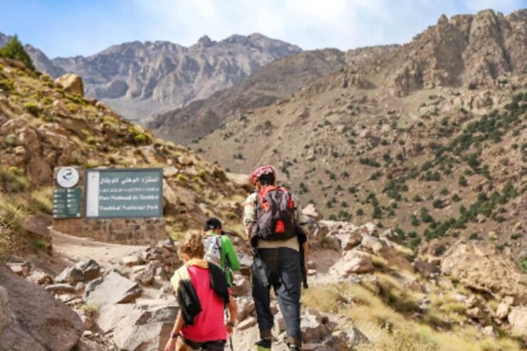Atlas Mountains Sightseeing Tour With Local Guide - Cultural Exploration