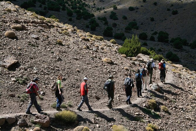 Atlas Mountains Small-Group Trip With Lunch and Afternoon Tea  - Marrakech - Trip Details