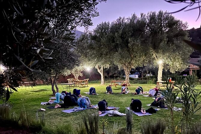 Atlas Mountains Small-Group Trip With Lunch and Afternoon Tea  - Marrakech - Pricing and Additional Information