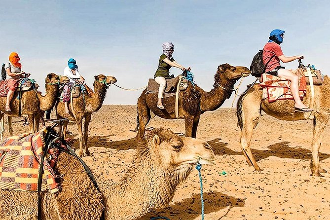 Atlas Mountains & Three Valleys, Waterfalls, Full Day Guided Tour From Marrakech - Positive Reviews and Recommendations