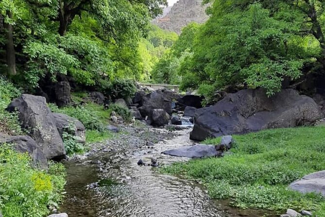 Atlas Mountains Tour From Marrakesh and Camel Ride - Customer Reviews