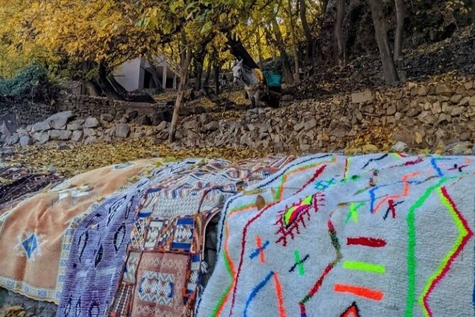 Atlas Mountains, Walking And Lunch With Mustapha & His Mom - Tour Inclusions