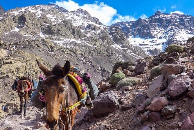 Atlas Mountains Waterfalls and 3 Valley With Lunch in Marrakesh - Frequently Asked Questions