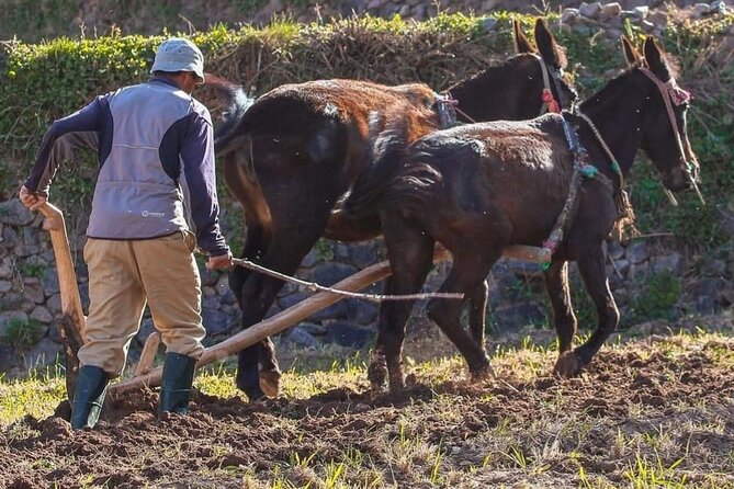 Atlas Mountains Waterfalls and 3 Valley With Lunch in Marrakesh - The Sum Up