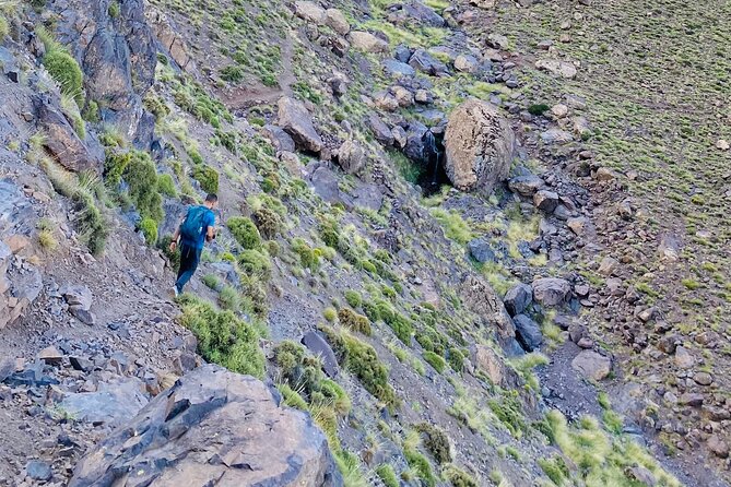 Atlas Mountiains and Waterfalls With Camel Ride Day Trip - Traveler Photos and Reviews