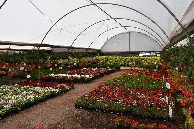 Atlixco and Atlimeyaya (private tour) - FAQs