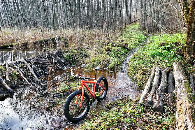 Atomic Ride | LitWild |Visaginas|Lithuania - Inclusions Details
