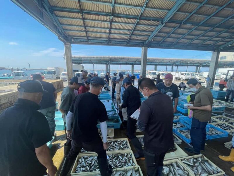 Atsumi Fish Market Live Action Exoerience - The Experience: A Closer Look at Each Stage