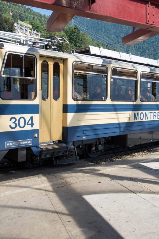 Attraction Ticket: Montreux to Rochers-de-Naye - Authentic Traveler Insights