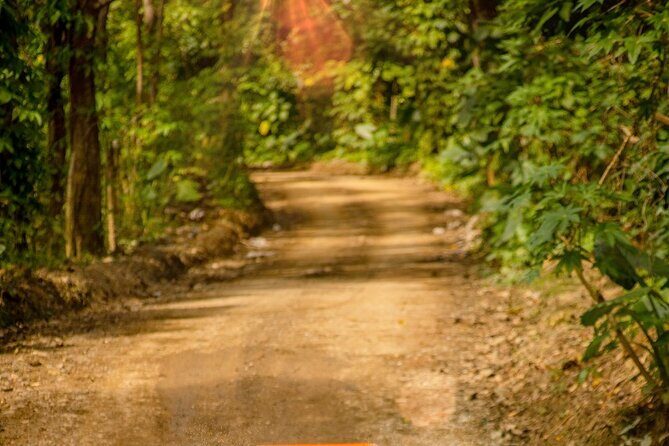 ATV, 4 Wheeler or Buggie Truck Tour in Punta Cana and Macao - The Experience in Detail