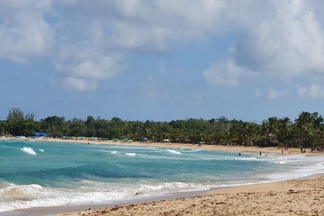 ATV 4 Wheels Tours Punta Cana for all Family.. - Authentic Insights and Reviews