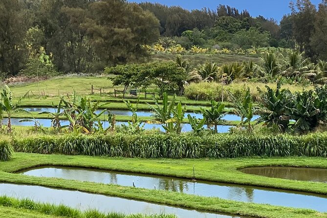 ATV 4WD UTV Scenic Guided Tour Near Waipio Valley and Kona - Common Questions