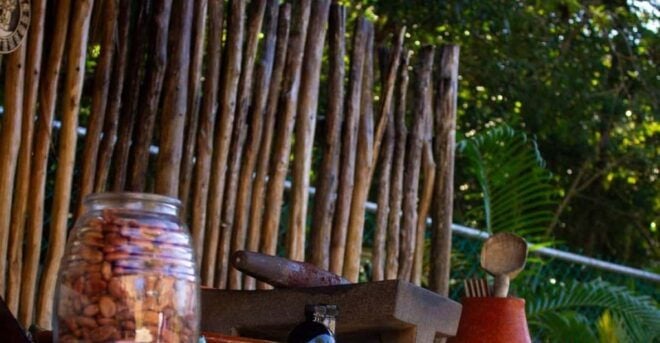 ATV 4×4+Snorkeling+Beach Club+ Lunch+Sabores De Cozumel - Itinerary Highlights