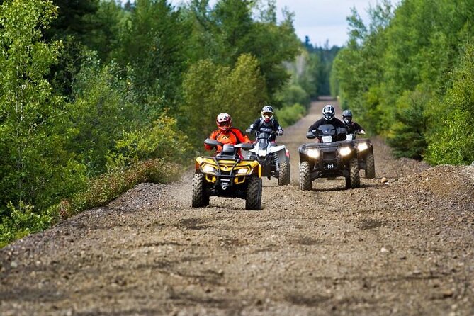 ATV Adventure Jamaica - Overview and Requirements