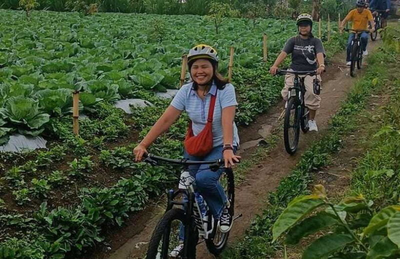 ATV Adventure & Scenic Cycling Tour in Bali - Price and Value