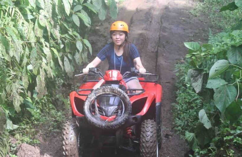 ATV Adventure & Scenic Cycling Tour in Bali - Who is This Tour Best For?