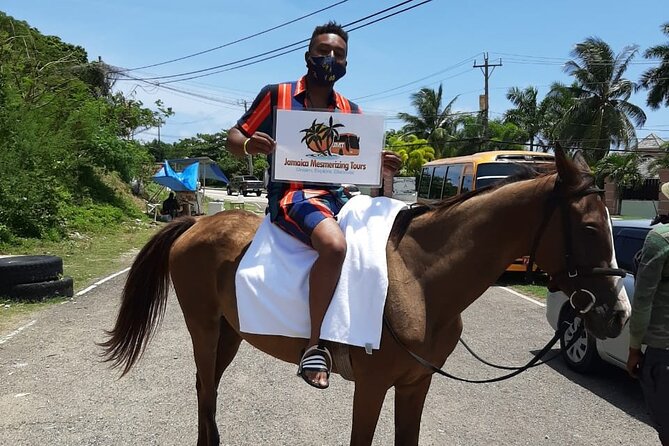 ATV Adventures and Horseback Riding Private Tour - Pricing and Booking Details