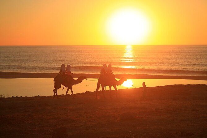 ATV and Camel Ride Combo Adventure in Los Cabos - Good To Know