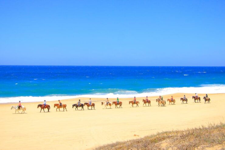 ATV Automatic 4X4 & Horseback Riding in Cabo by Cactus Tours - Pricing and Booking Information