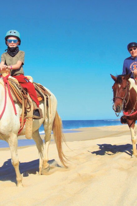 ATV Automatic 4X4 & Horseback Riding in Cabo by Cactus Tours - Itinerary Details