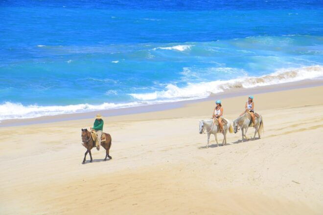 ATV Automatic 4X4 & Horseback Riding in Cabo by Cactus Tours - Included and Excluded