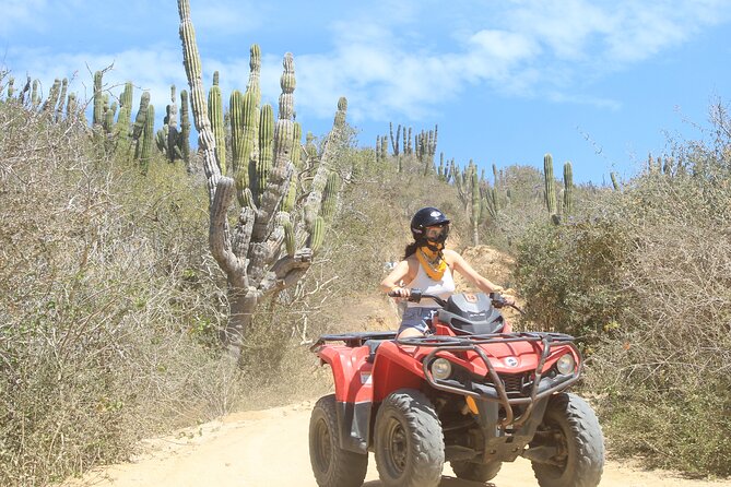 ATV Beach and Desert Experience Los Cabos - Reviews and Questions