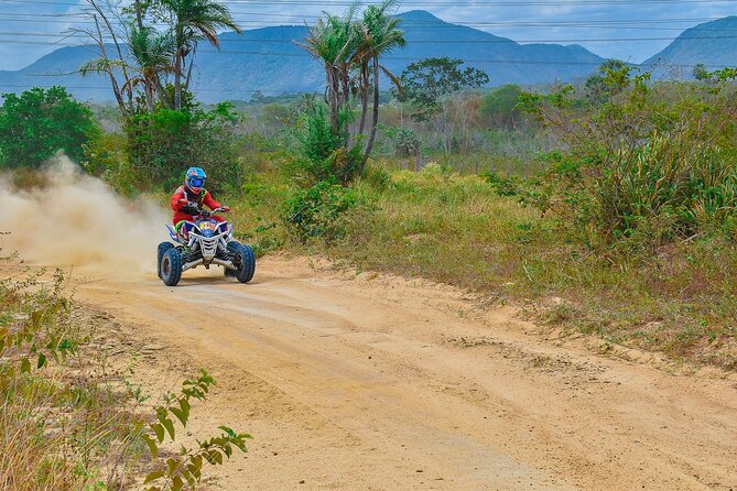 Atv Big Buddha Phuket Viewpoint - Tour Details