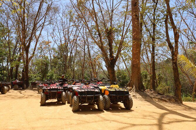ATV Buggy Adventure in Phuket, Thailand - Who Should Consider This Tour?