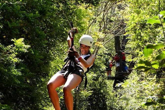 ATV & Canopy Tour From Flamingo Beach - Activity Highlights