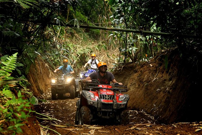ATV Combo (Horseback, Ziplines, Cenote, Water, Lunch and Transfer Included) - Featured Review