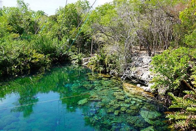 ATV Double & Zip Line - Reviews