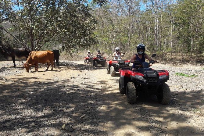 ATV Half Day Adventure From Riu and Papagayo - Tour Highlights