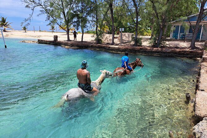 ATV Horseback Zipline and Party Boat Adventure - Who Should Book This Tour?
