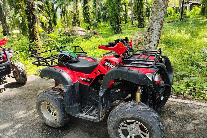 ATV Jungle Adventure in Krabi With Roundtrip Transfer - The Sum Up