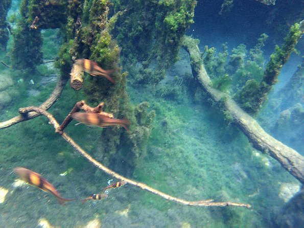 ATV & Kayaking in Hidden Freshwater Lagoon, Unseen Krabi Half Day Trip - Pricing and Terms for the Unseen Krabi Trip