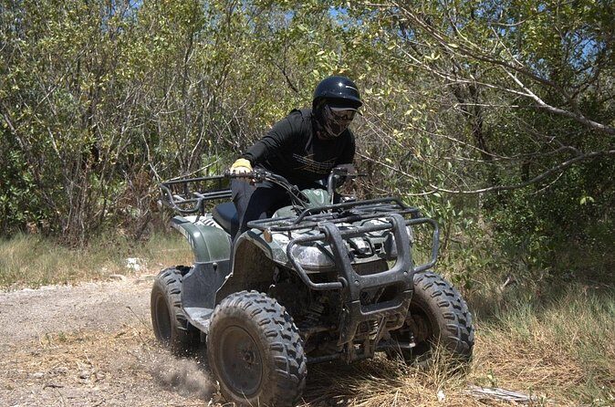 ATV Mangrove Adventure - Final Thoughts: Who Is This Tour Best For?