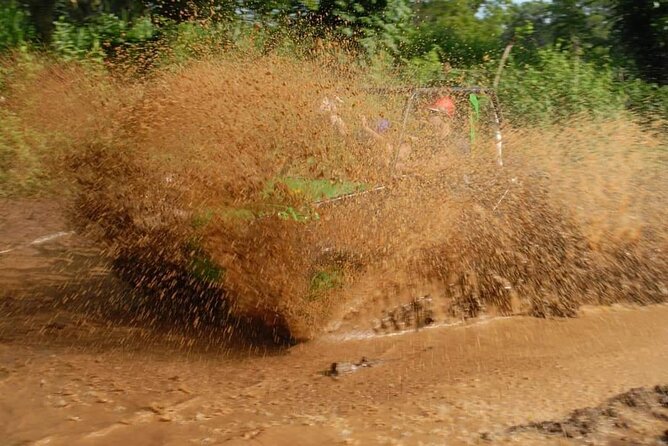 ATV or Buggy Tour in Bayahibe - Tour Details
