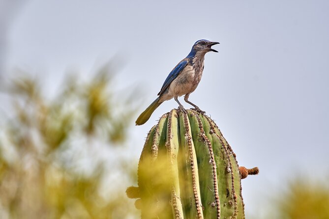 ATV Pacific Tour in Cabo San Lucas - ATV Tour Highlights