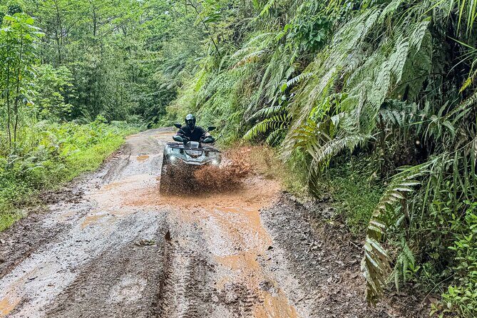 ATV Quad Bike Adventure (Coral Coast Fiji) - Final Thoughts