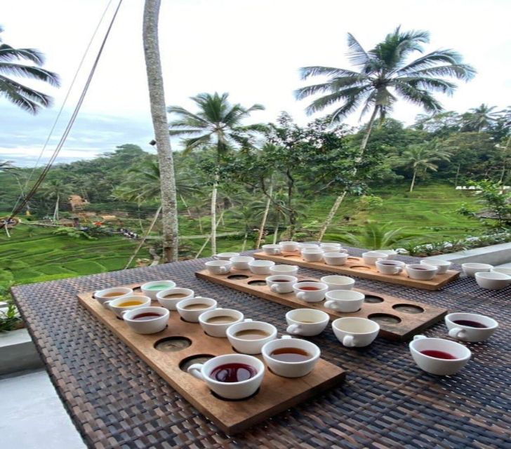 ATV Quad Bike Adventure in Bali - Booking Details