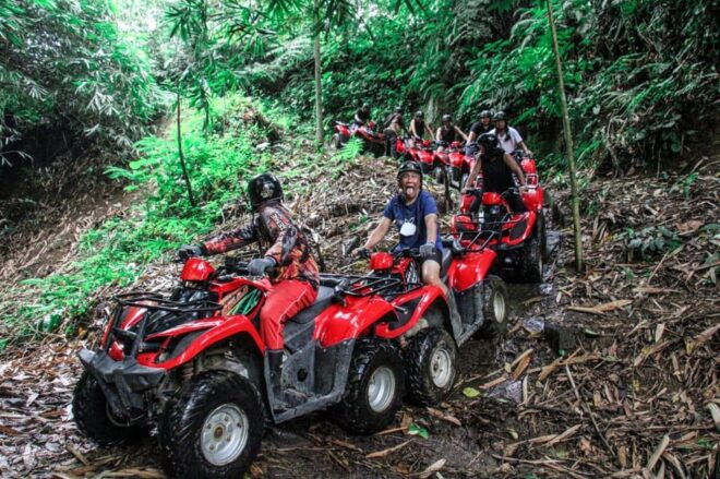 ATV Quad Bike Bali With Waterfall Gorilla Cave and Lunch - Detailed Itinerary