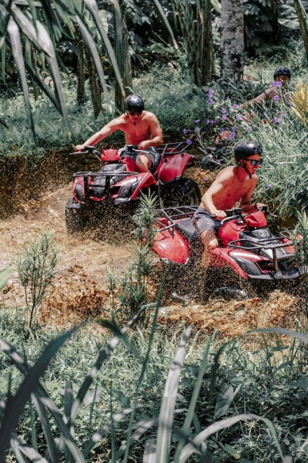 ATV Quad Bike Bali With Waterfall Gorilla Cave and Lunch - Inclusion of Activities