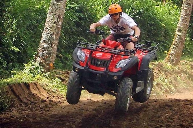 ATV Quad Bike - Inclusions and Pickup Details