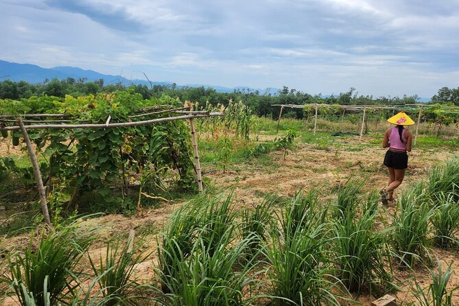ATV Quad Bike Hoi An Adventure - Pricing and Booking