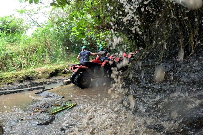 ATV Quad Bike Jungle Tunnel Track With Lunch & Transfer Hotel - Experience Details