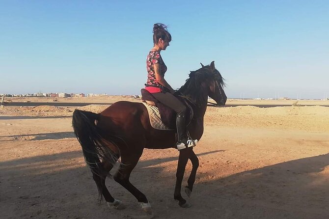 ATV Quad Bike Safari and 1-Hour Horse Riding - Sharm El Sheikh - Experience Details