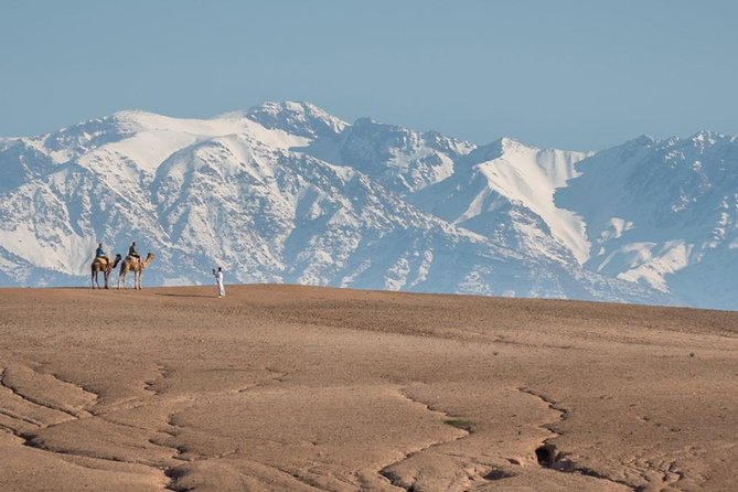 ATV Quad Biking in Agafay Desert Marrakech - The Sum Up