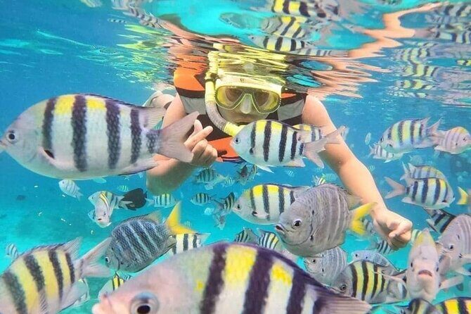 ATV Quad Ride and Blue Lagoon Snorkeling - A Closer Look at the Experience