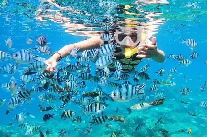 ATV Quad Ride and Blue Lagoon Snorkeling - Adventure Begins With ATV Ride