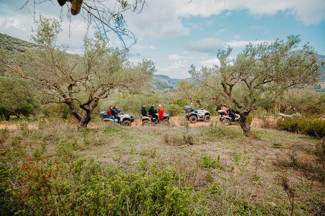 ATV Quad Safari Tour - Tour Details
